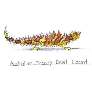 Desert Thorny Devil Lizard drawing