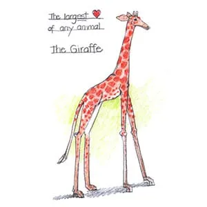 Tropical Dry Forest Giraffe drawing