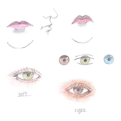 Drawing Faces drawing