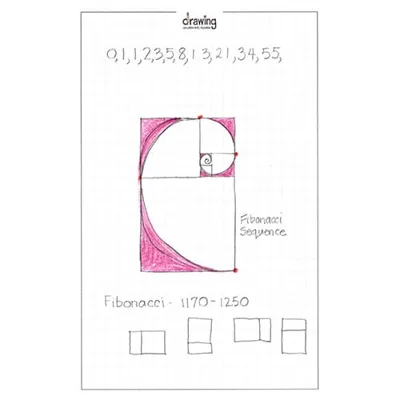 Fibonacci Sequence drawing